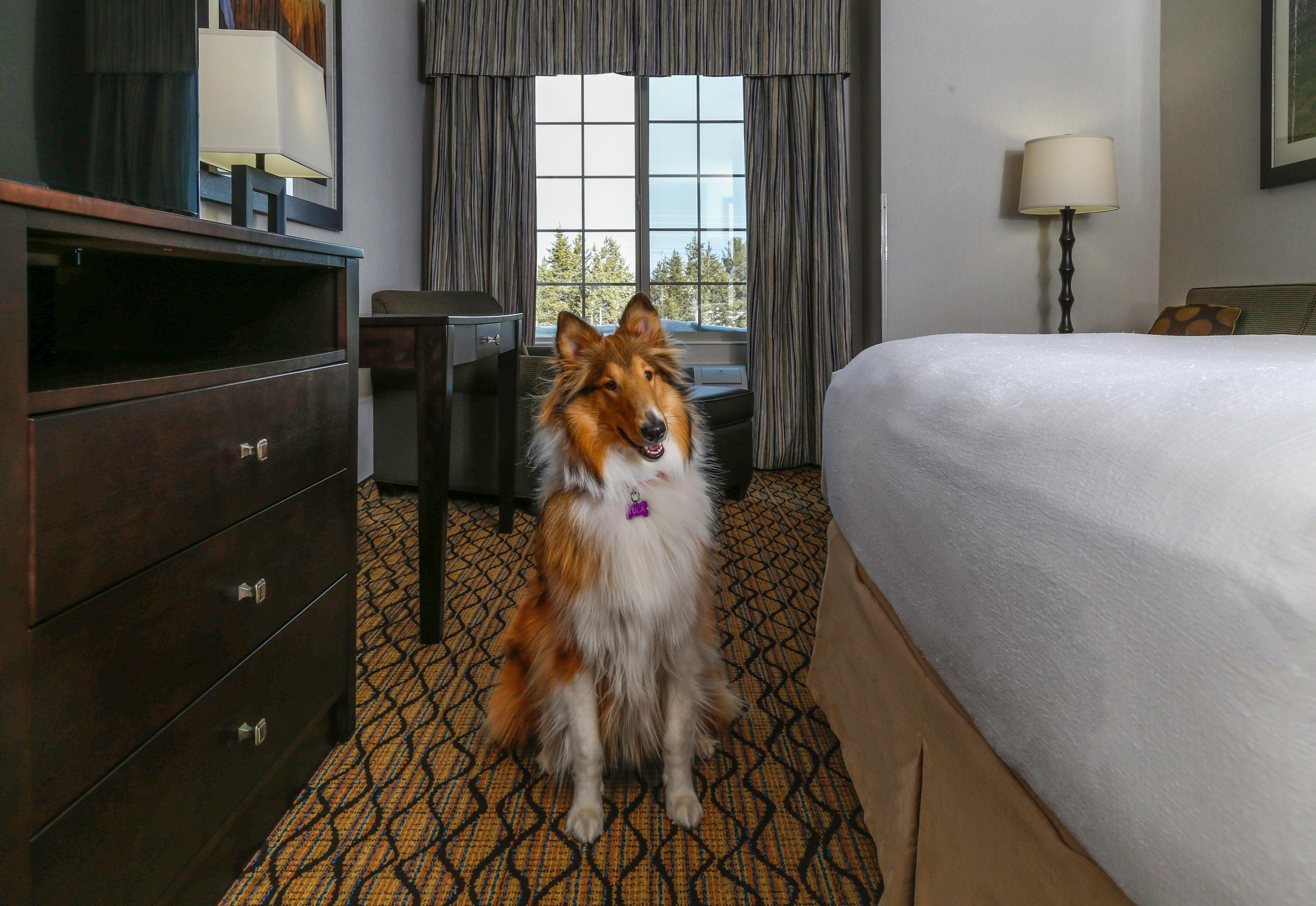 Holiday Inn West Yellowstone By Ihg Esterno foto